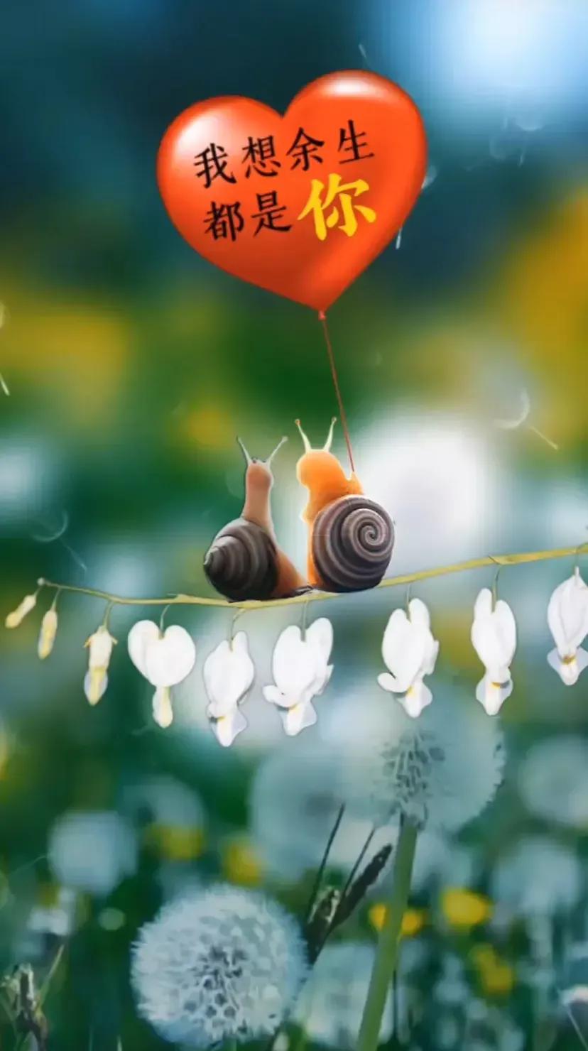 表白文案高级有深度20个字,表白的高级文案英文