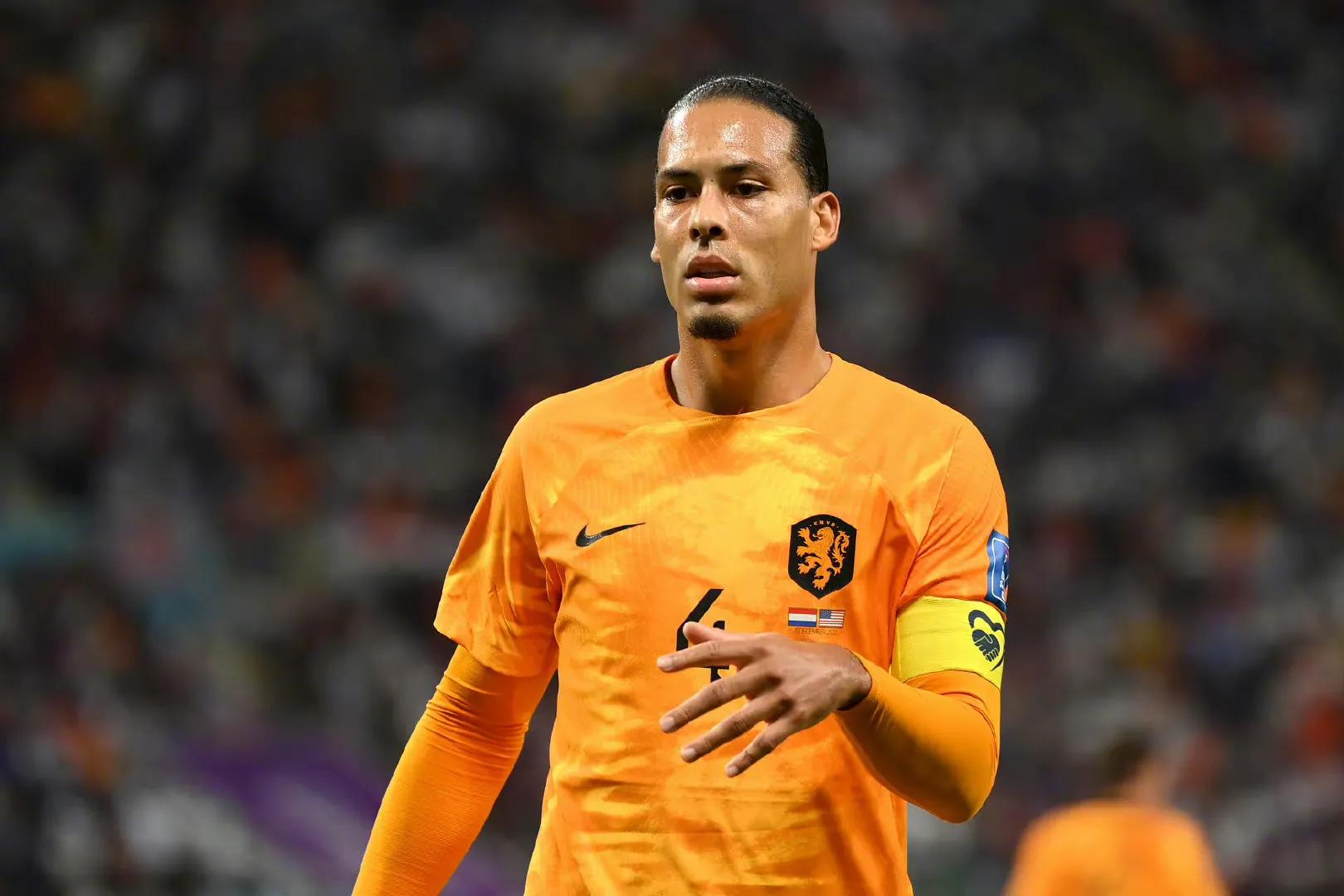 邓弗里斯2传1射，荷兰3-1美国晋级8强，郁金香丑陋足球得实惠