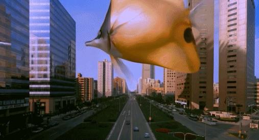 把孩子宠物煮熟来吃，还拍短视频博眼球？这种流量密码不要也罢