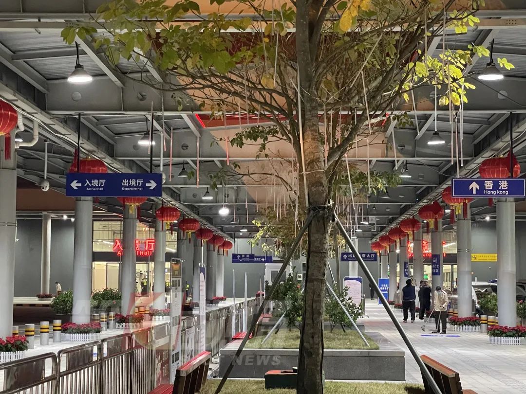 何时恢复深港通关免隔离,深港免隔离通关最新消息