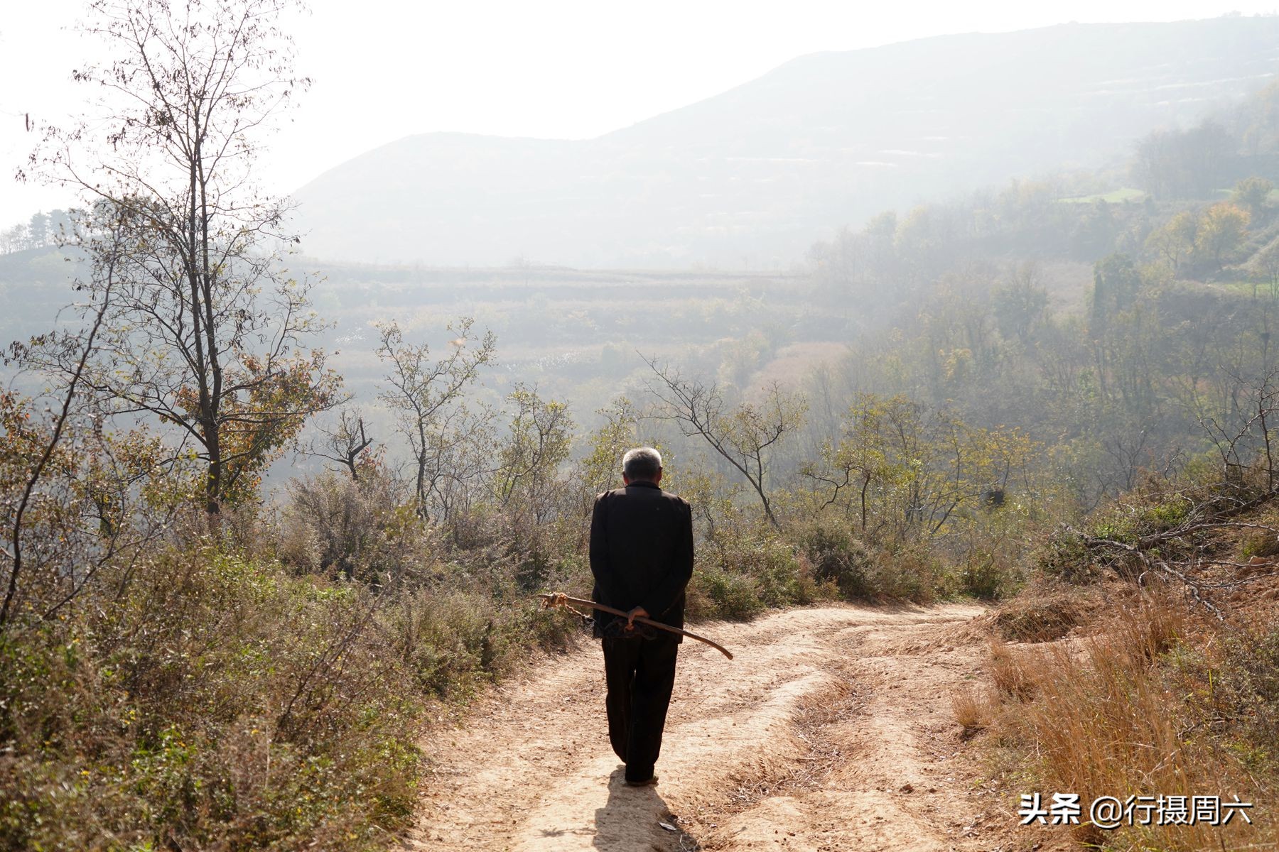 山西大叔占山为王40年后的生活,77岁农民大叔占山为王