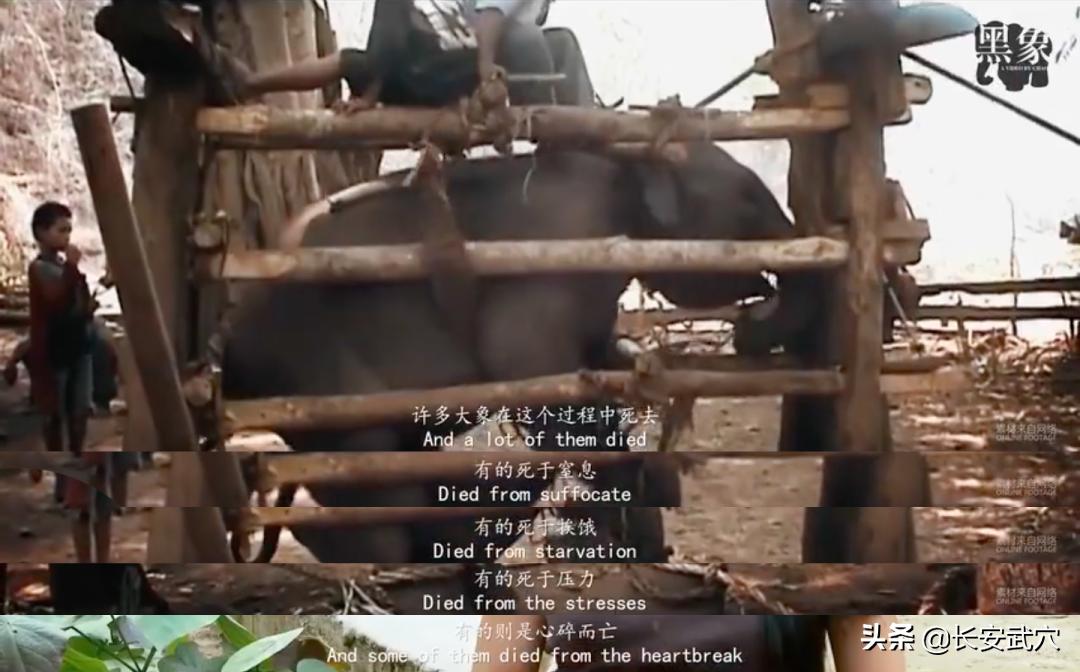 全网最近大事件,最大丑闻案件