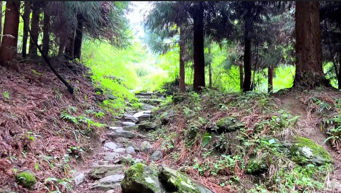 广西神秘天池水有多深,都匀斗篷山山顶有天池