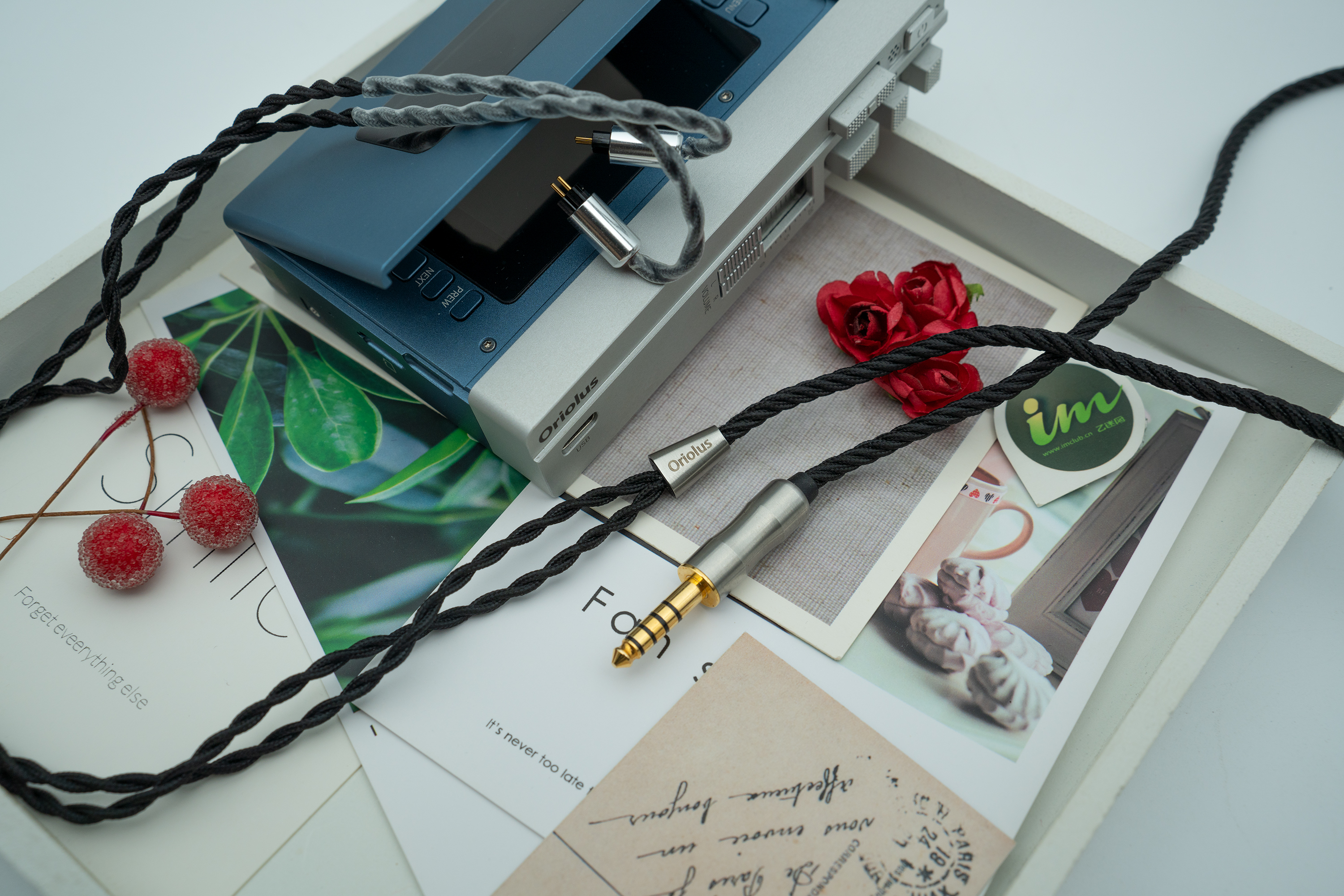 褐鹂和黑黄鹂耳机对比,褐鹂和黑鹂耳机对比