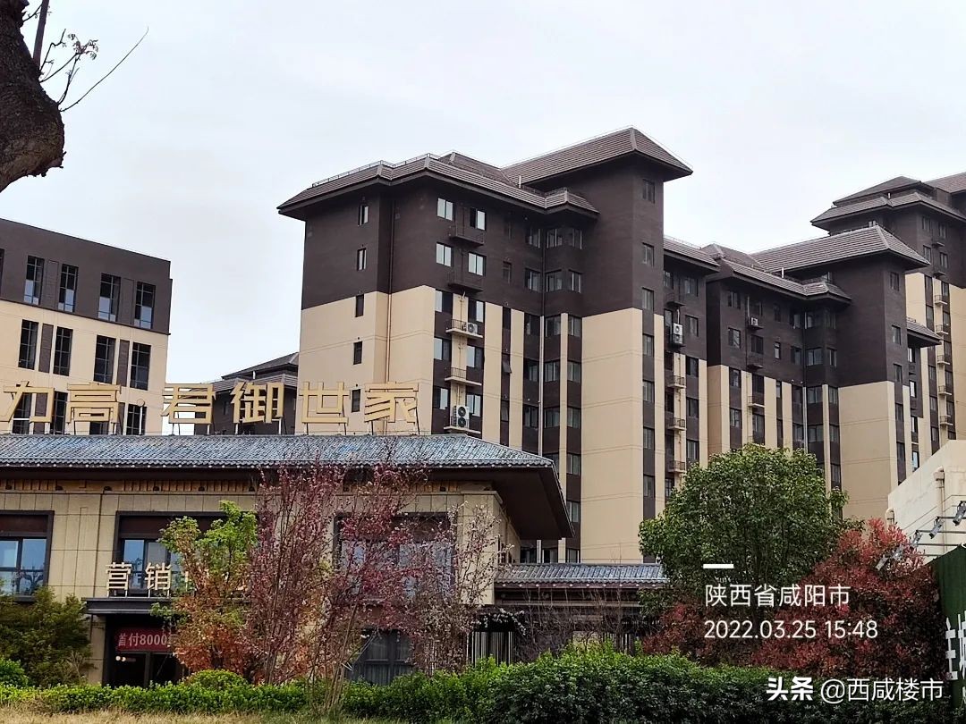 咸阳金科楼盘工程进度,咸阳所有在售楼盘价格