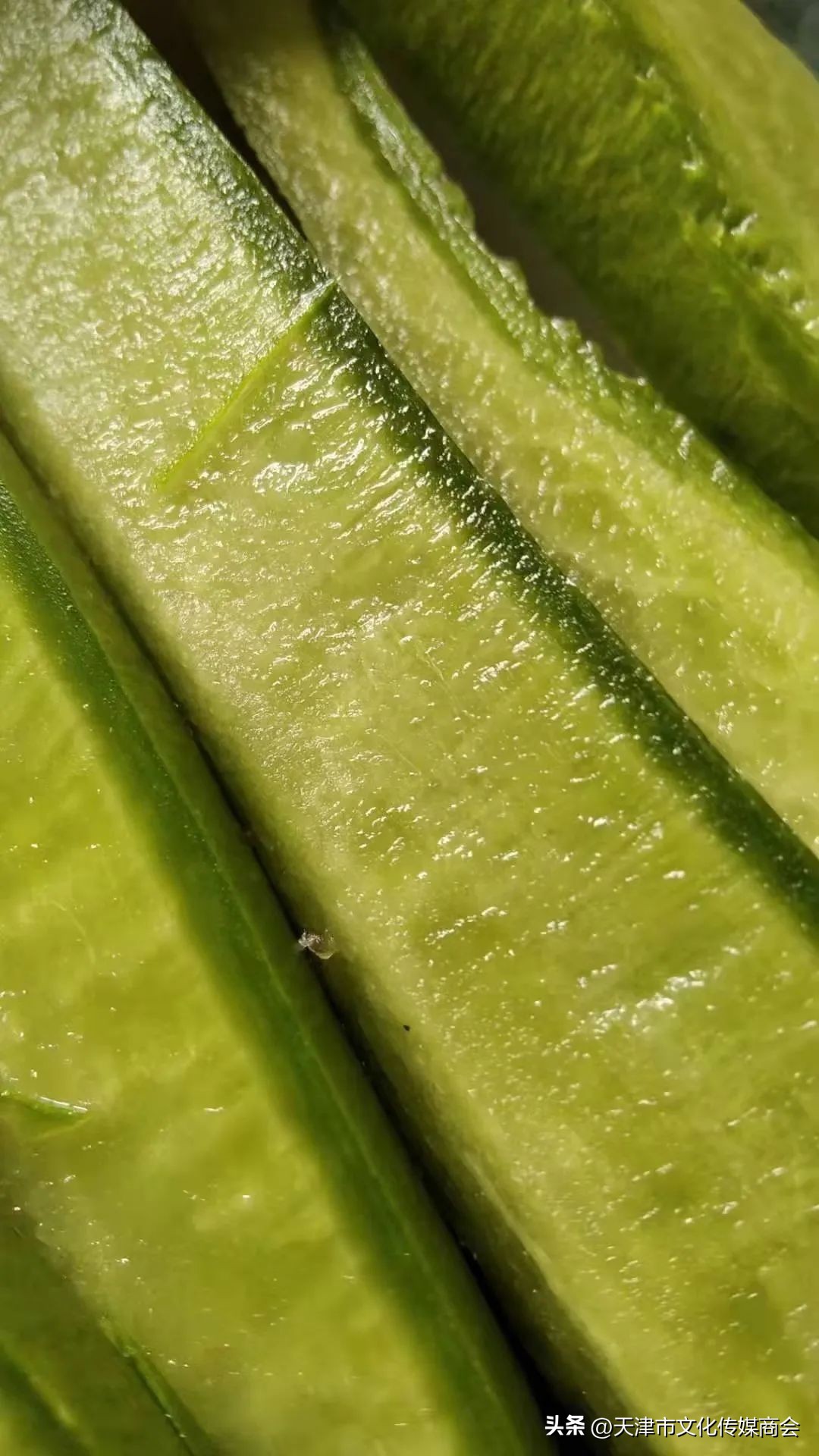 打造农特产品线上销售平台,蓟州农产品销售平台