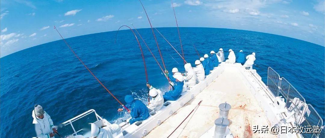 艺术设计日本留学,艺术留学日本