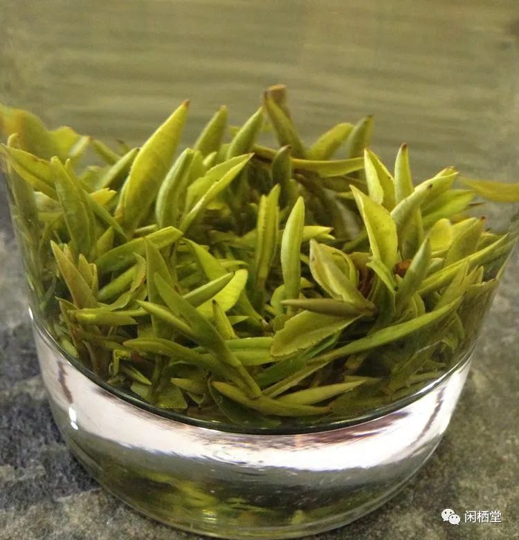 中国顶级茶叶排行榜,中国顶级茶叶排行榜大全