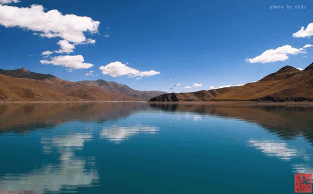 鍐呰挋鍙ゅ宸磋兒椋庢牸琛ｆ湇,澶氬反瀹夌┛鎼唴钂欏彜