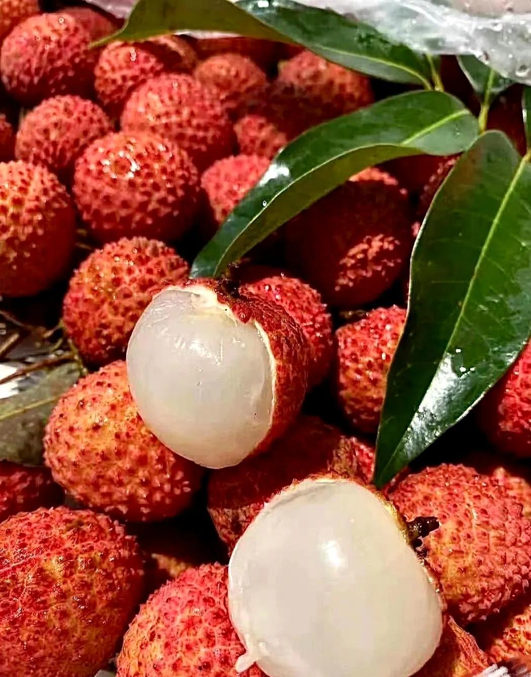 “水晶细嚼甜于蜜,满口生香玉露漙”,夏日里的荔枝又鲜又红又甜