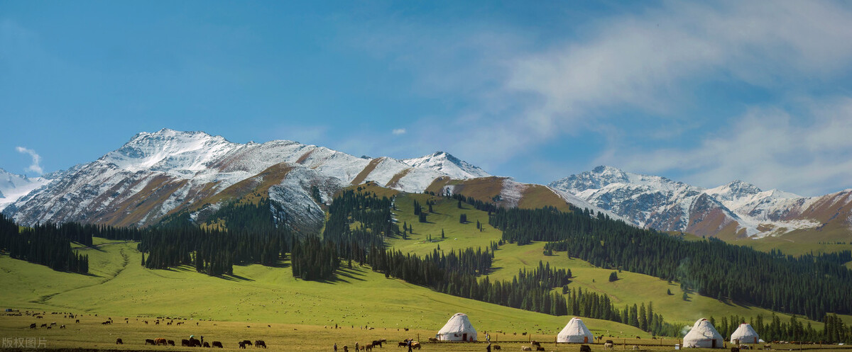 上有老下有小的关键阶段，我患上焦虑症，工作丢了，妻儿都患疾病