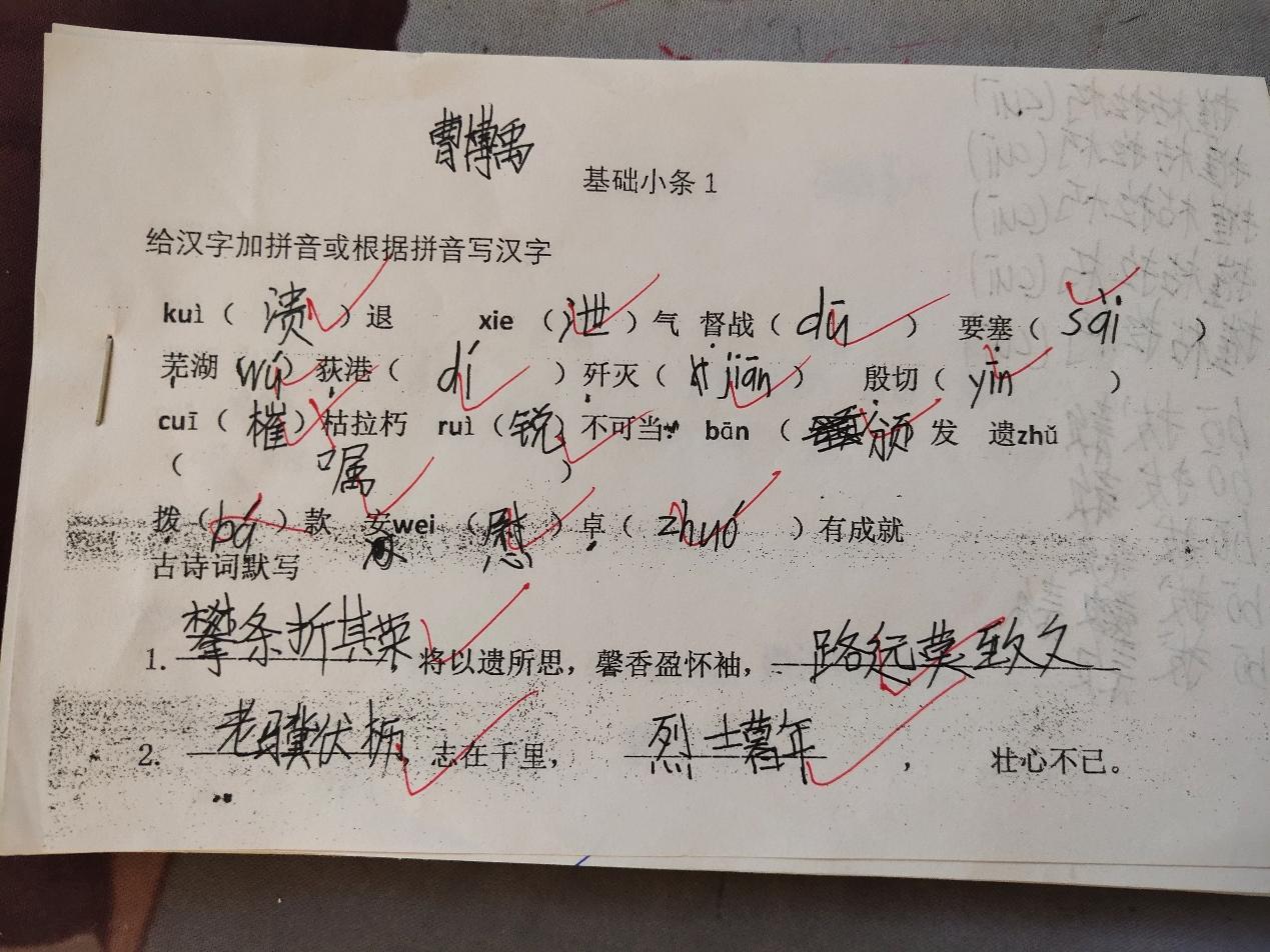 杭锦旗亿利东方学校2022中考成绩,杭锦旗亿利东方学校2009级