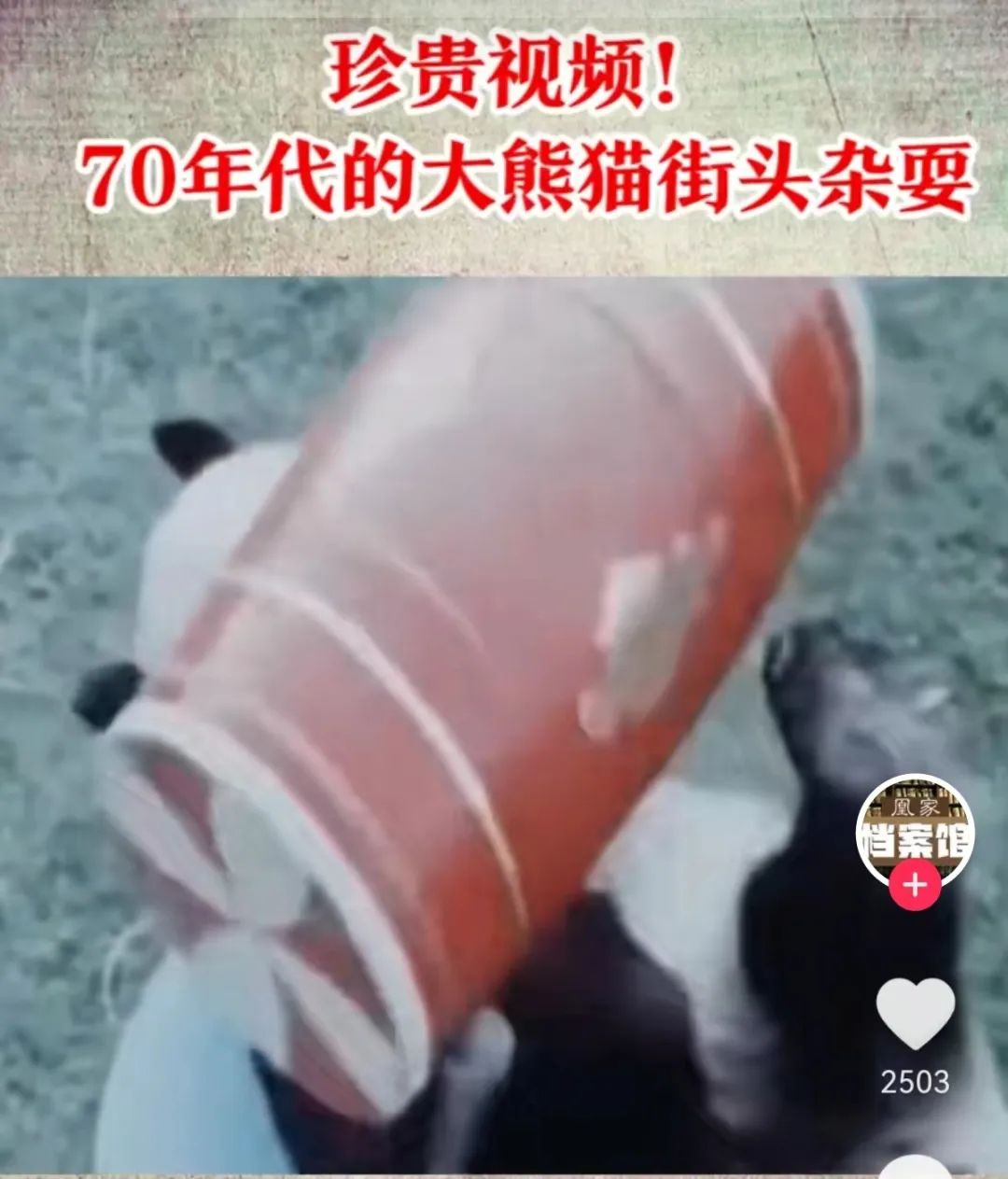 秒出100万！认养丫丫们背后，他们竟是最大赢家？