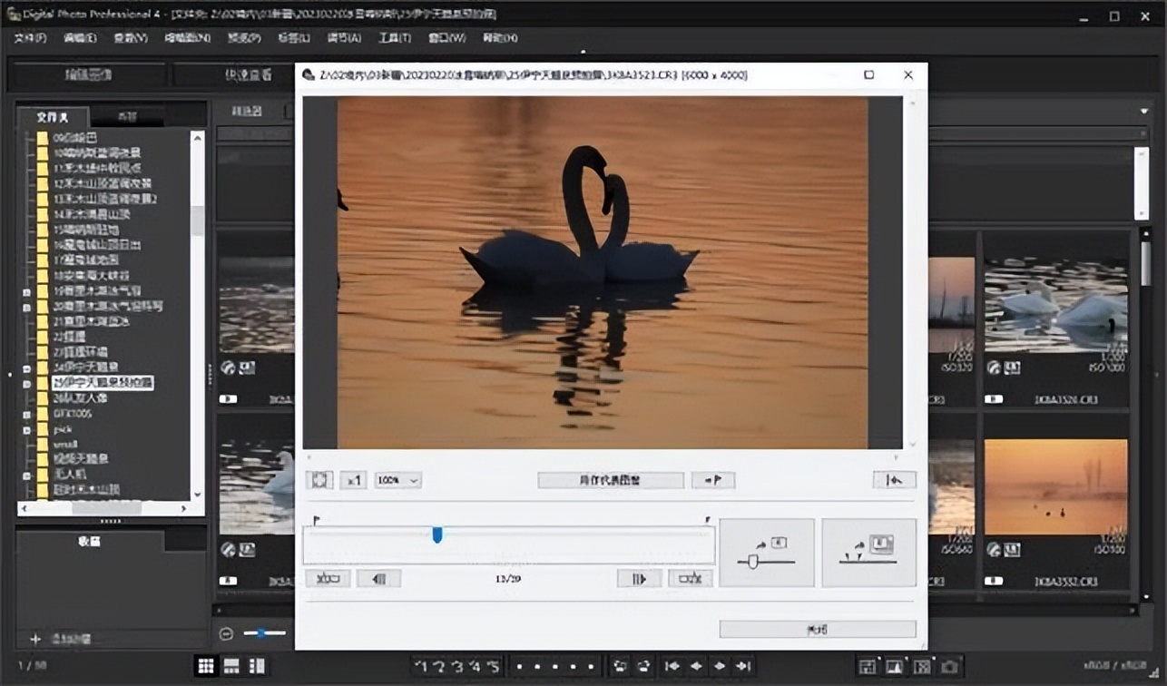 佳能r6mark2摄影三要素教程,eosr6markii景深合成