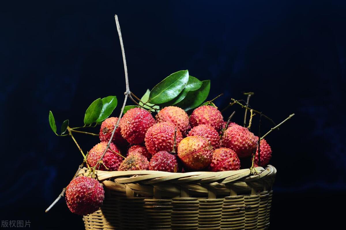 荔枝多少钱一斤妃子笑,今日妃子笑高州荔枝价格