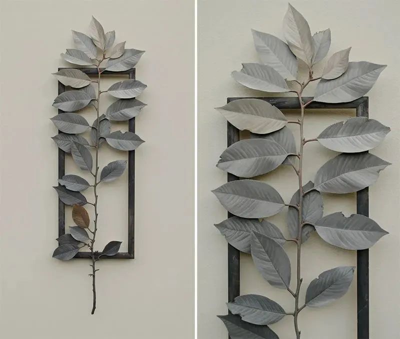 鑰佸厛鐢熼洉濉戜綔鍝佹璧忓浘,鑰佷汉闆曞鎯婅壋涓栦汉