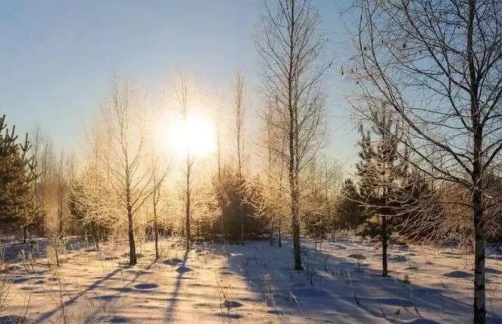 各位丈夫“阳”的表现：千姿百态，他们对病痛的忍耐力稍逊于女性