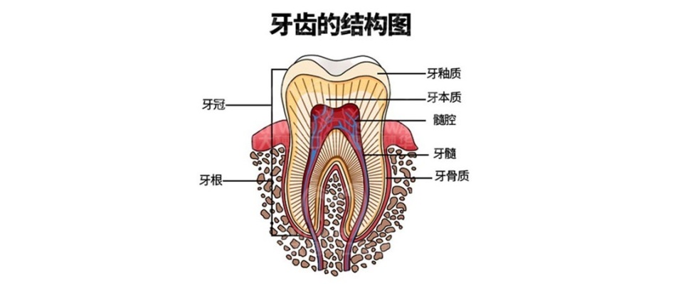 牙疼冷热敏感还痛怎么办,牙齿敏感一吃甜的就牙疼该怎么办