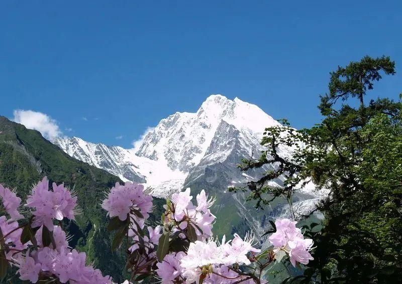 火出了圈,甘孜文旅局长化身侠客火出圈