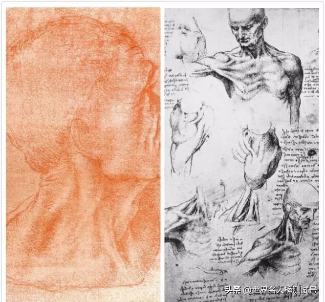 达芬奇不仅是画家还是发明家,达芬奇一个画家为什么这么聪明