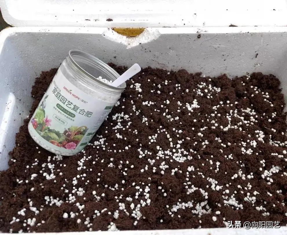 椰糠土便宜和贵的,椰糠加园林土