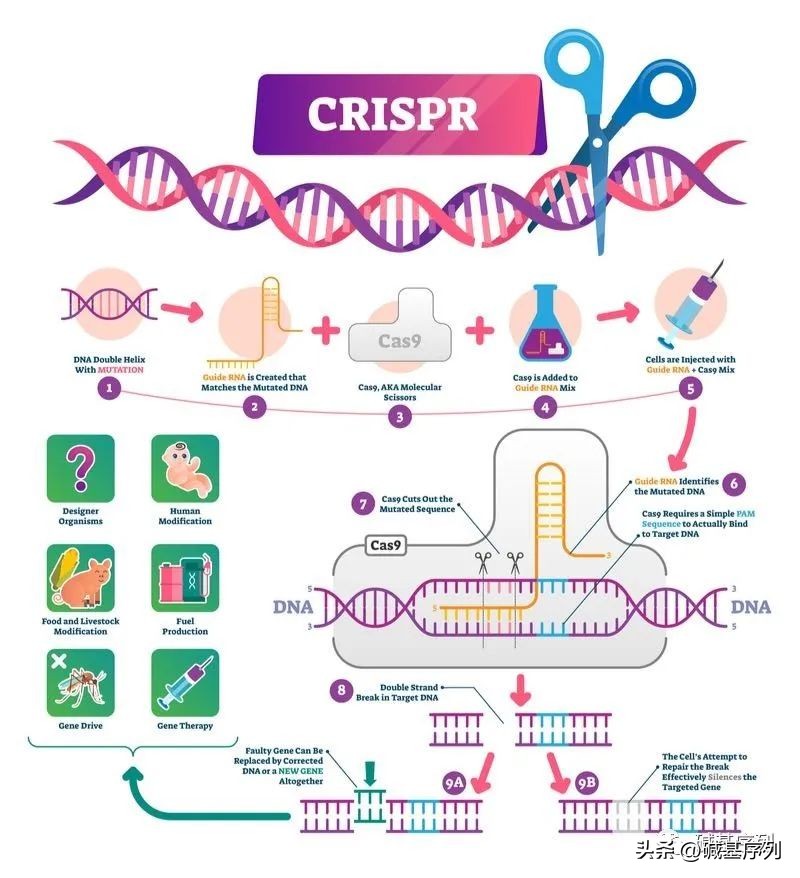 基因治疗眼睛最新消息,基因治疗最新突破消息