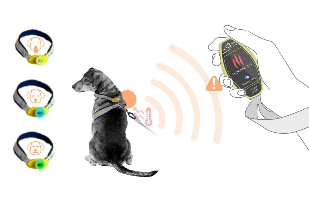 2022年iF设计奖：宠物用品类