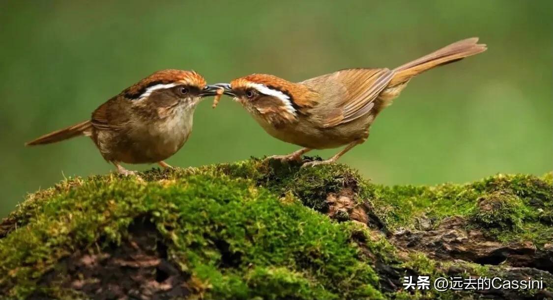 官媒翻车，是一个巨大的进步