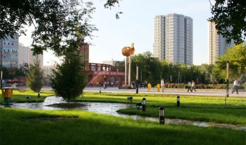 新新疆石河子大学,石河子大学和新大哪个好