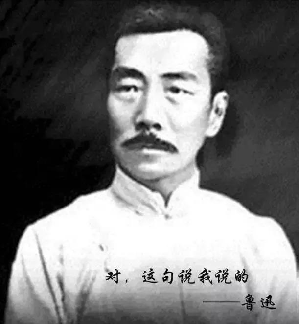 贾浅浅的诗放进语文书了吗,贾浅浅的诗进教材了吗