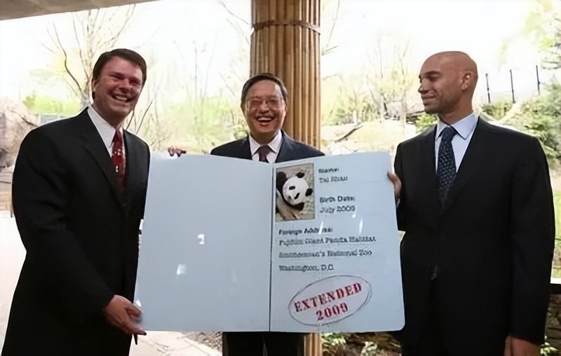 大熊猫假熊猫,山寨熊猫印度