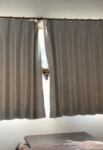 女厕的诡异事件,诡异女厕