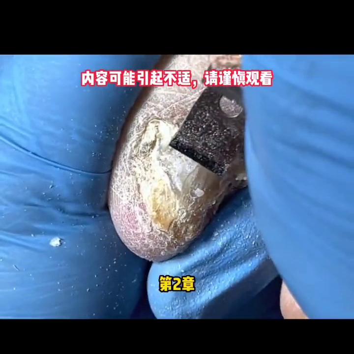 姐姐到牢里告诉我，要和前夫结婚了，而我即将被……#解压