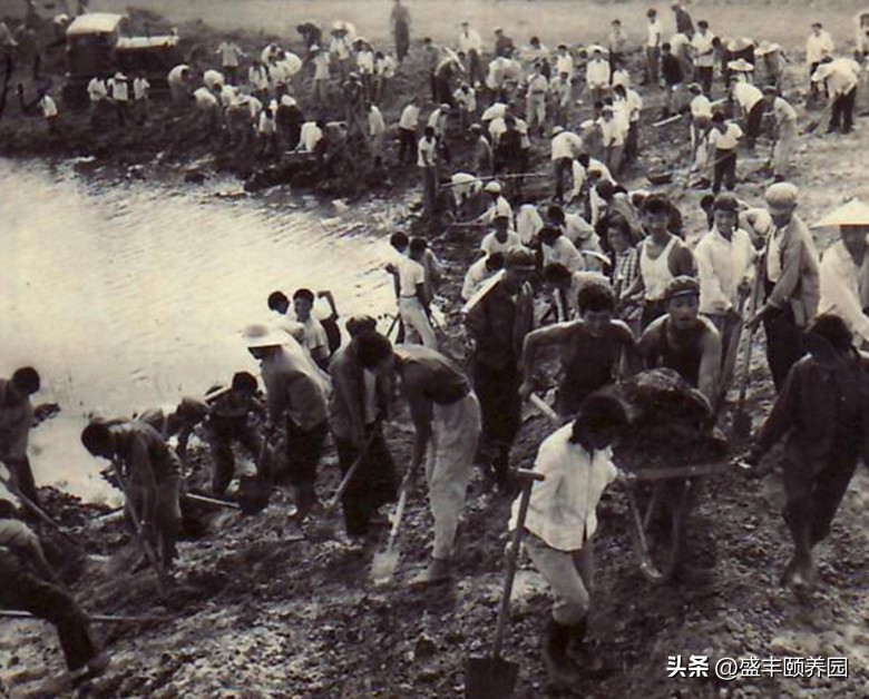 一首知青之歌感动了3000万人,知青之歌冤案始末下集