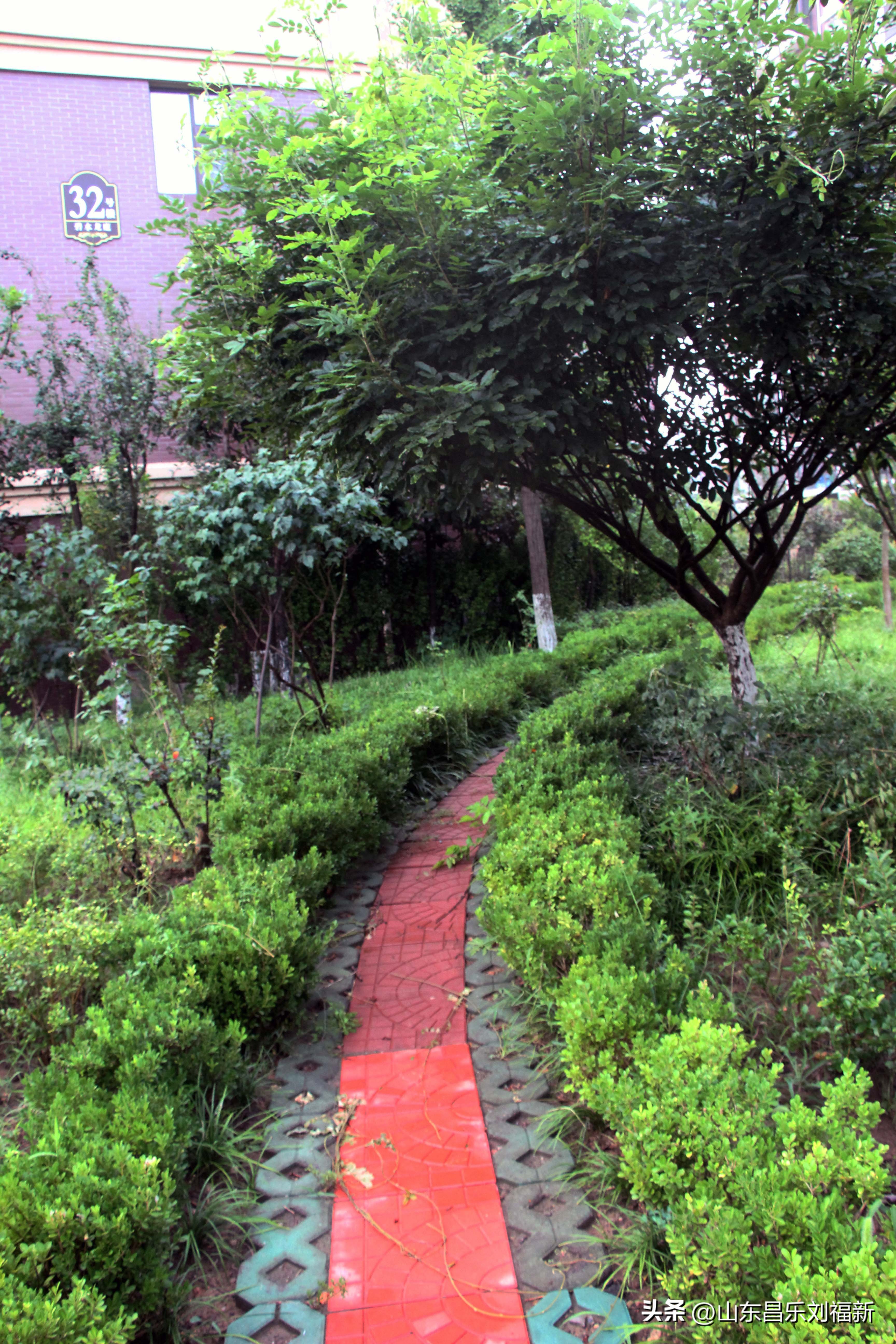 2023年8月20日有雨吗,2021年8月19日有没有下雨