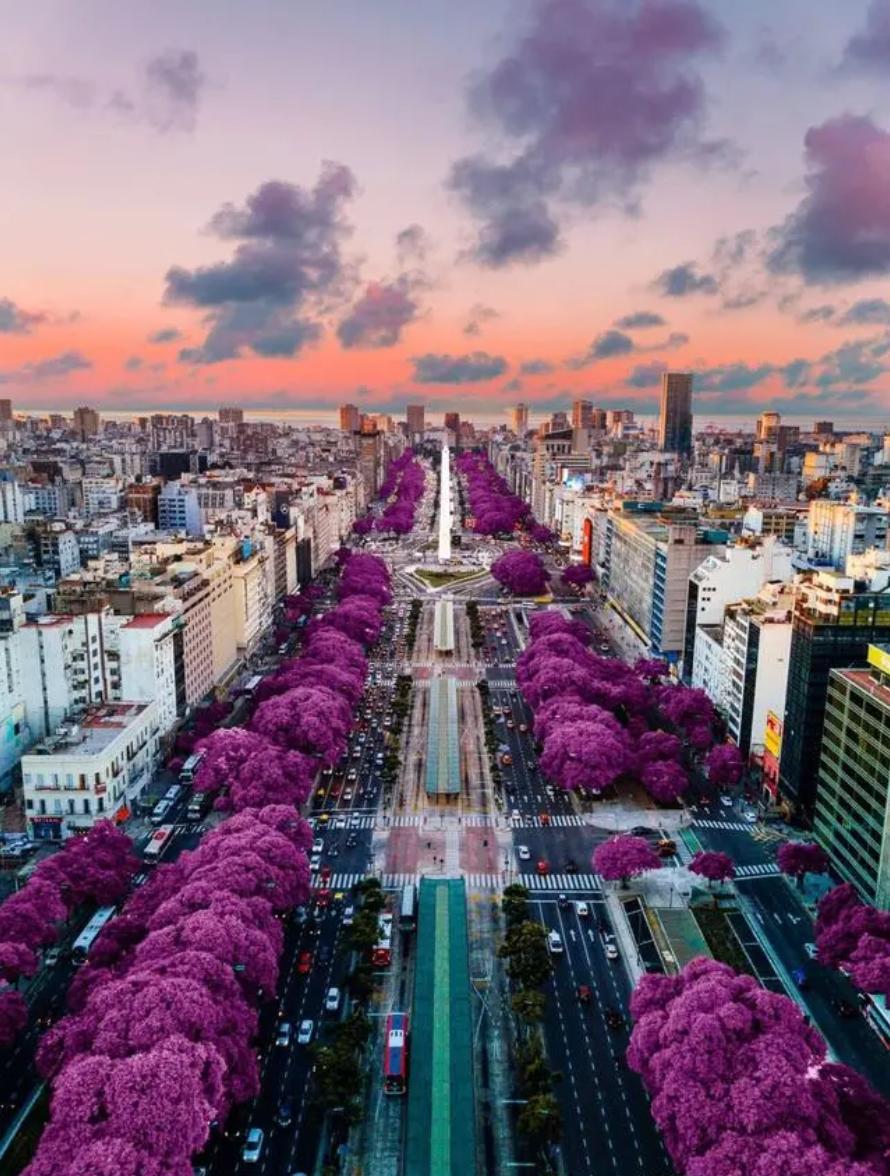 阿根廷夺冠庆典梅西如释重负,梅西夺冠巴萨会哭吗