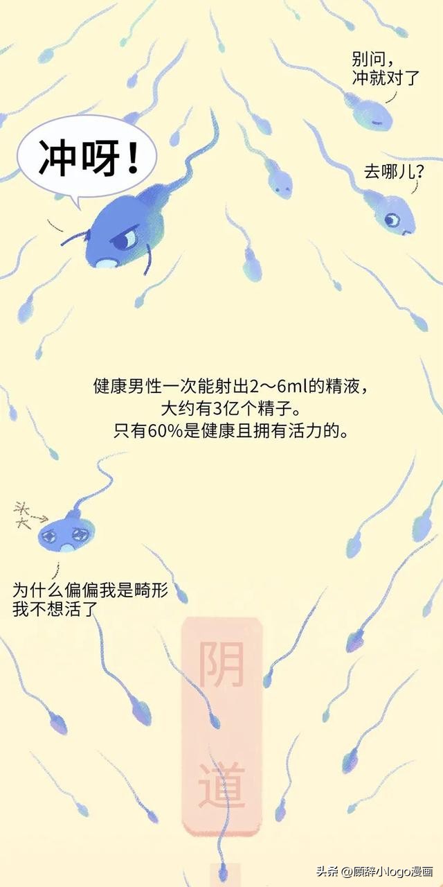 精子进入女生体内的24小时，都发生了些什么？太励志了！（漫画）
