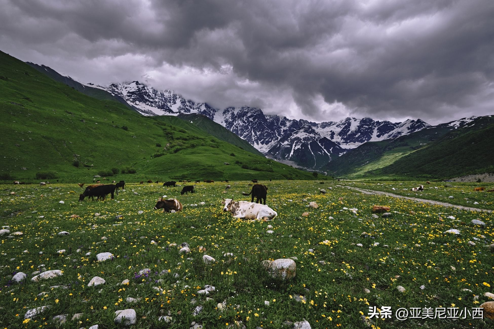 亚美尼亚之行,亚美尼亚旅行生活的体验
