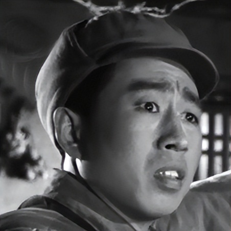 关于革命的小说红日简介,长篇小说红日沈振新的原型是谁