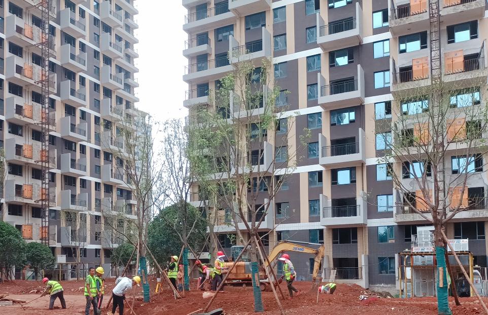 狠抓细节全力保障项目进度和交付,确保工程保质保量顺利完成任务