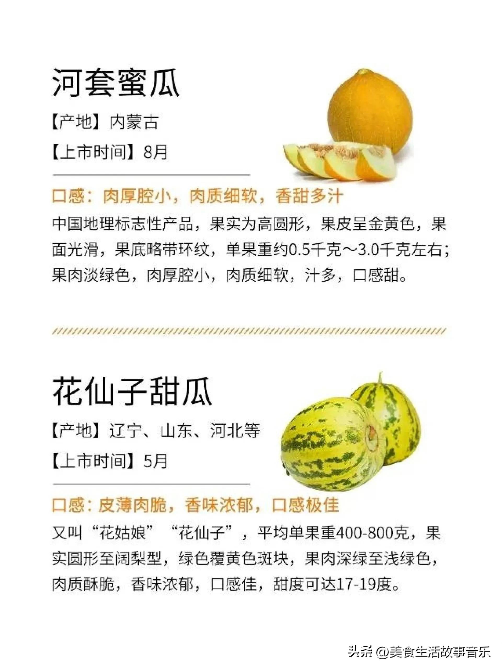 甜瓜熟度最好的品种,甜瓜品种科普图解