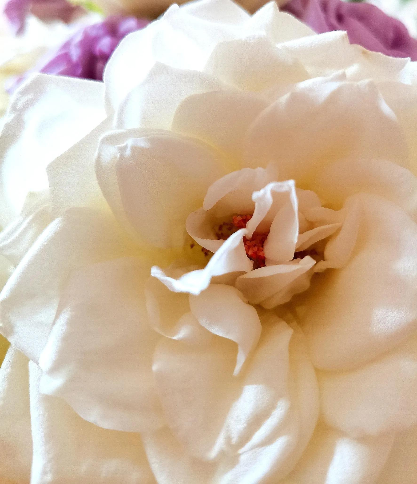 激励人心英语,英语激励人心的正能量句子