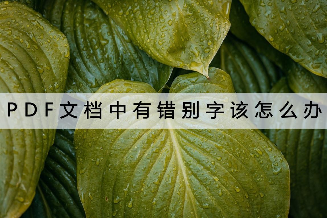 pdf文档复制出来好多错别字为什么,编辑pdf老是出现错别字