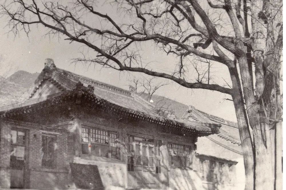 媒体“网事”丨古“网”今来！沉睡的历史，被“昌平记忆”唤醒