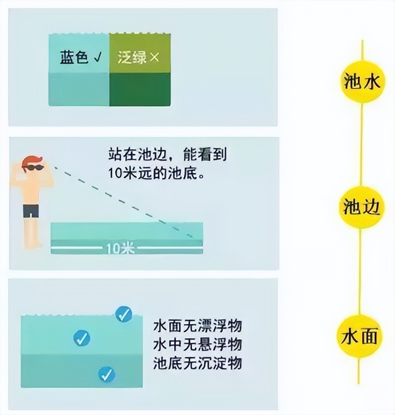 公共水域游泳要注意什么,公共水域可以游泳吗
