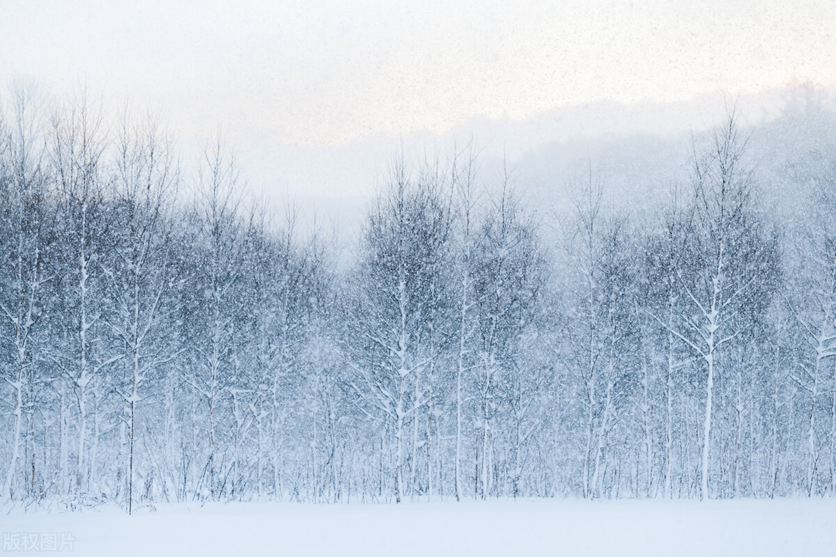 2022年简洁的心情的语录集合49句,2021年简短的心情的语录集锦79句