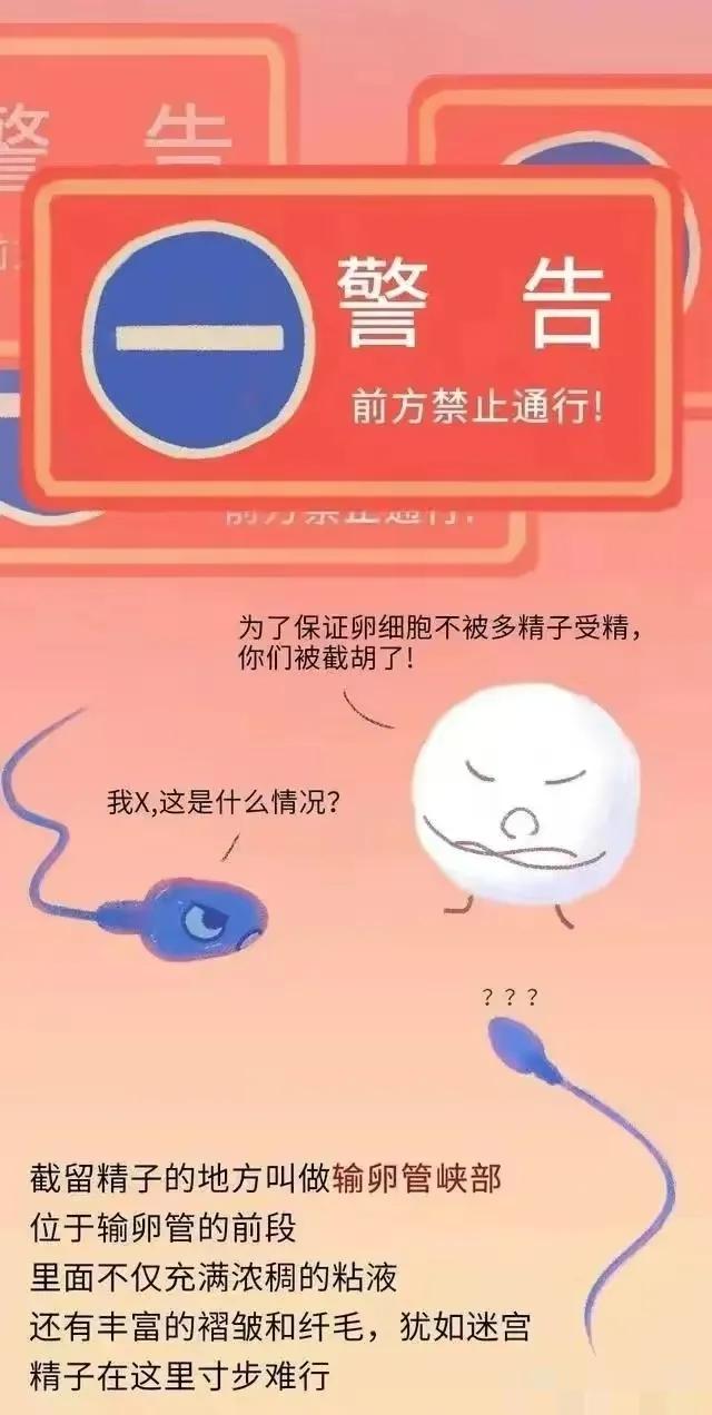 绮惧瓙杩涘叆浜轰綋24灏忔椂鍙樺寲,绮惧瓙杩涘叆浜轰綋1灏忔椂鍙樺寲