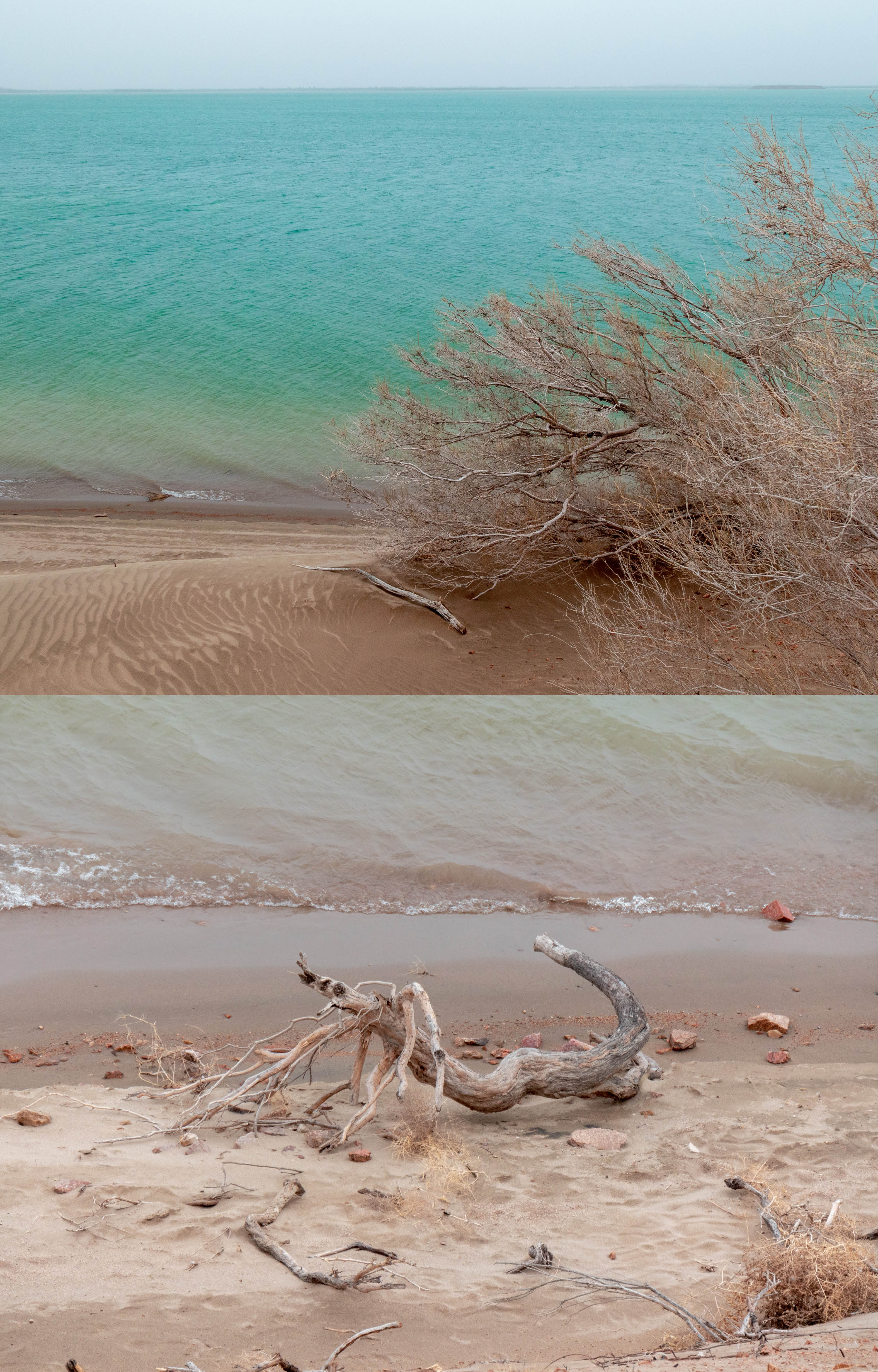 凉州不凉米粮川：人间四月天，行游河西天府之国“银武威”