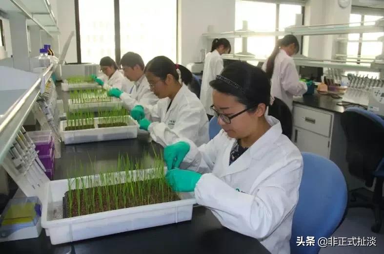 离京央企实力大揭秘（一）：中国中化