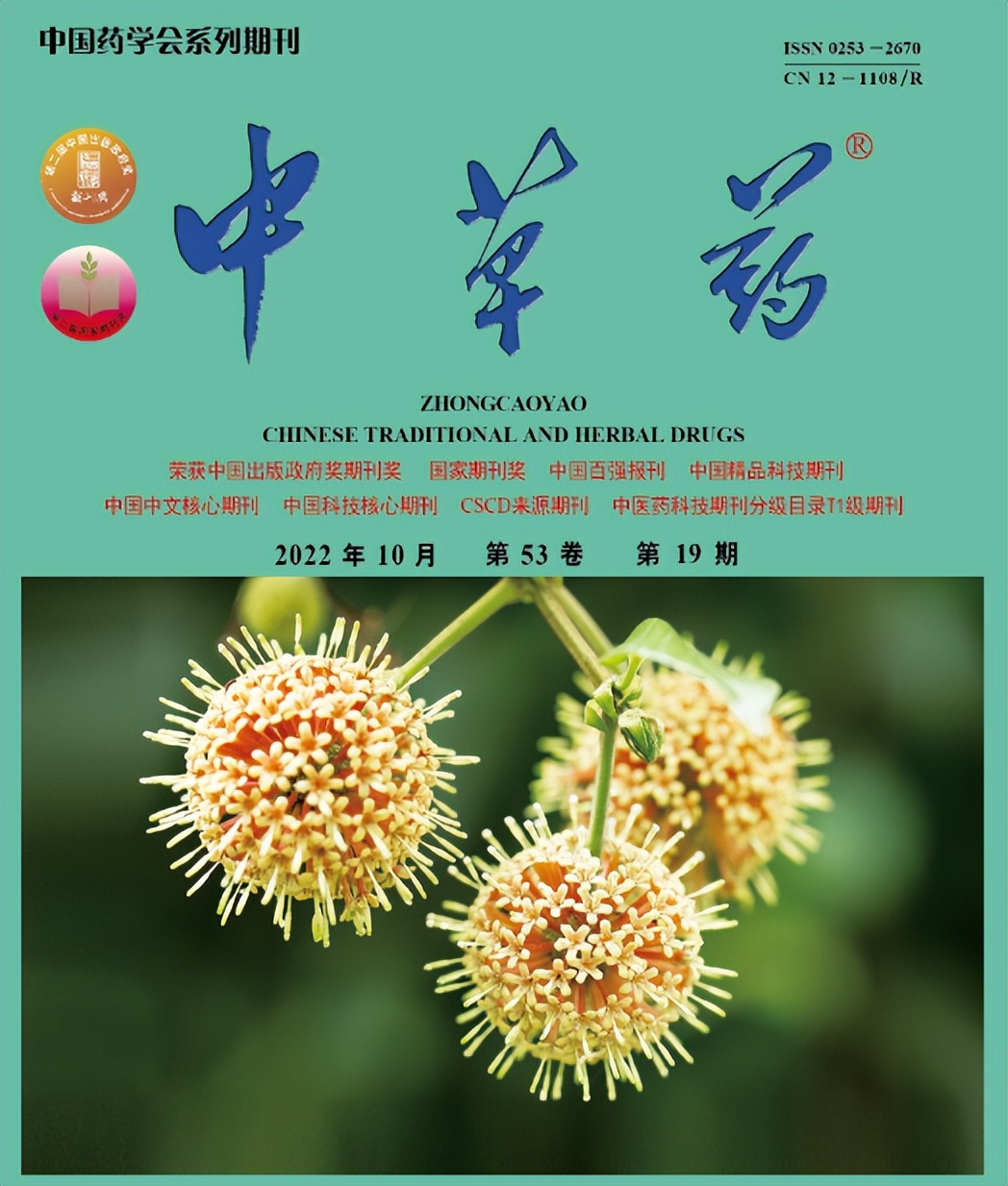 山豆根的现代药理机理,山豆根的现代药理研究